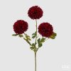 burgundy (480)