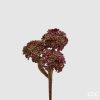 rust (350)
