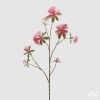 dark/pink (560)