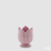 pink (500)