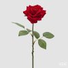 Red (400)