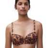 Wild Leopard (A12)