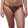 Wild Leopard (A12)
