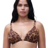 Wild Leopard (A12)